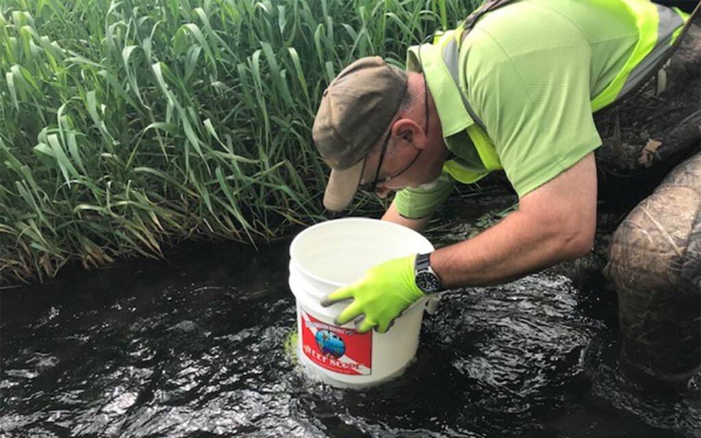 Photo of Benesch employee relocating mussels