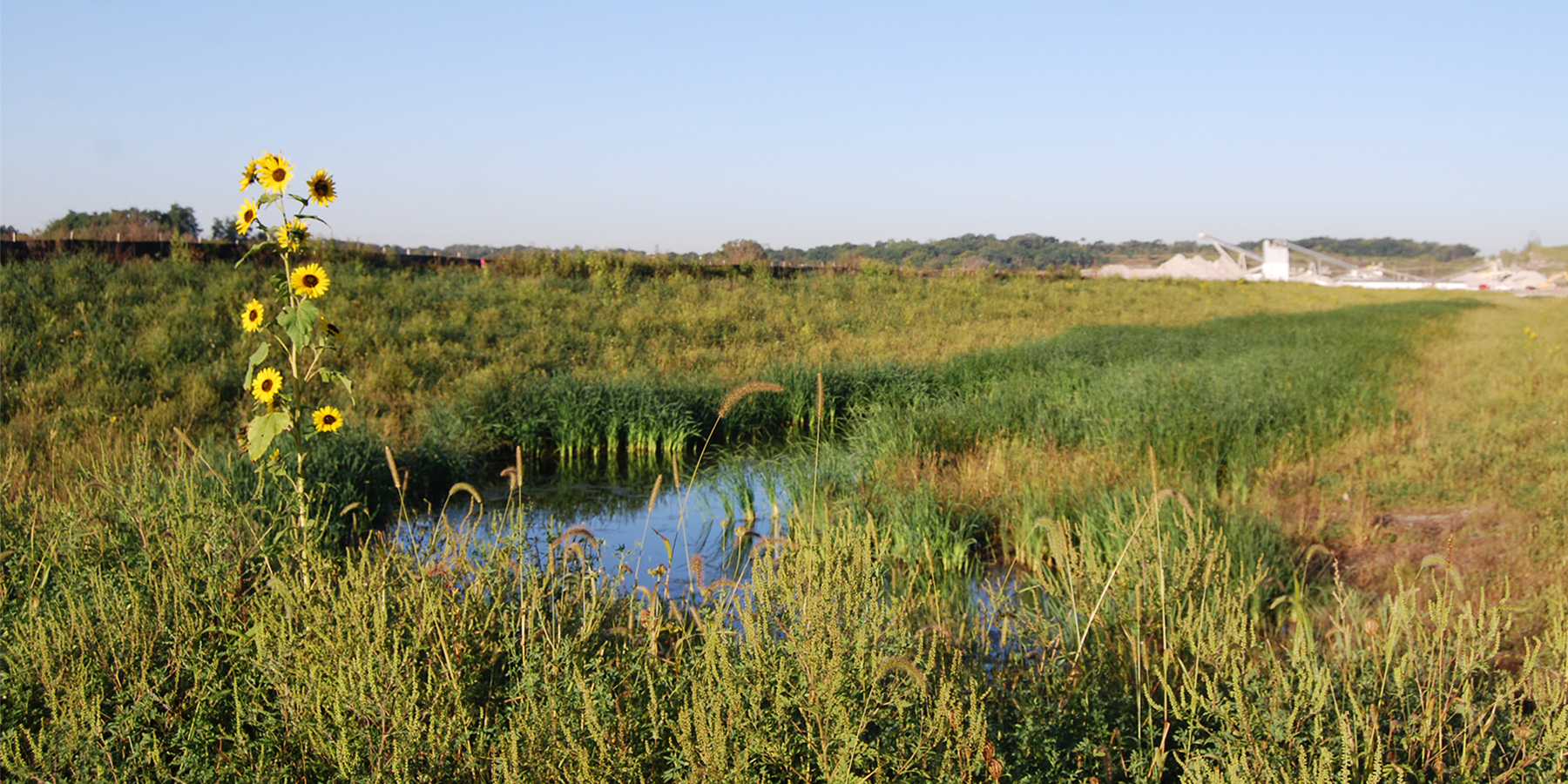 Photo of stormwater at Stearns road in Illinois