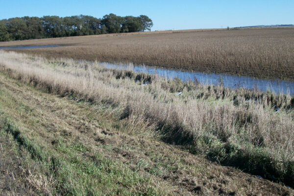 South Dakota DOT - Canton West Wetland Delineation