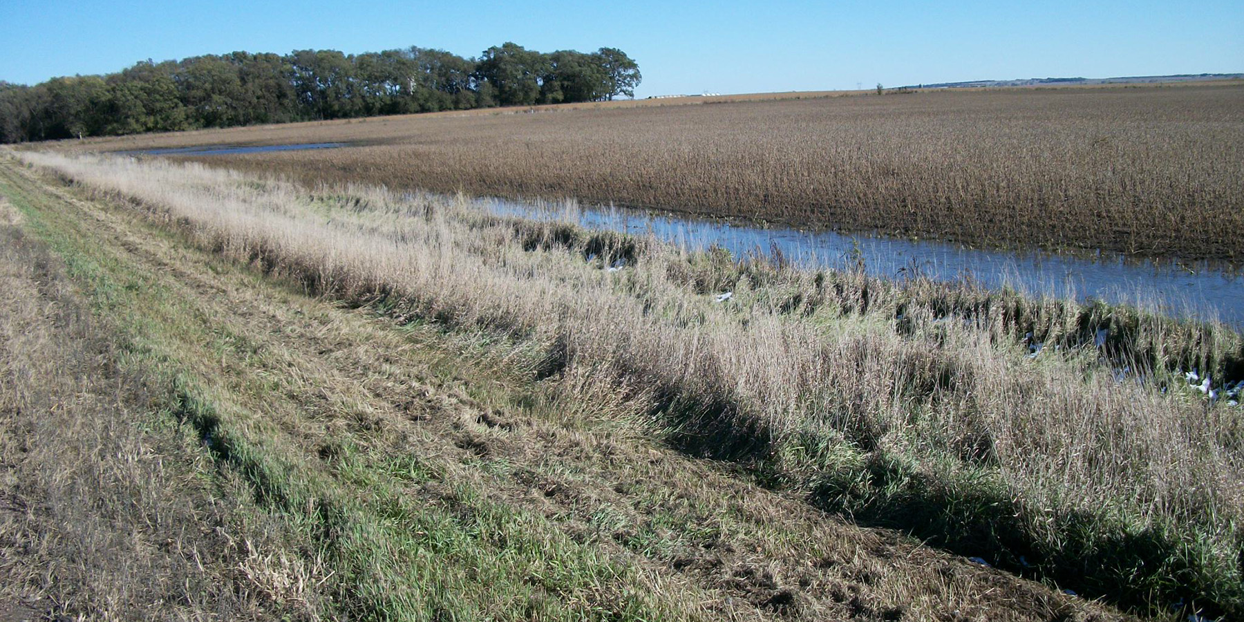 South Dakota DOT - Canton West Wetland Delineation