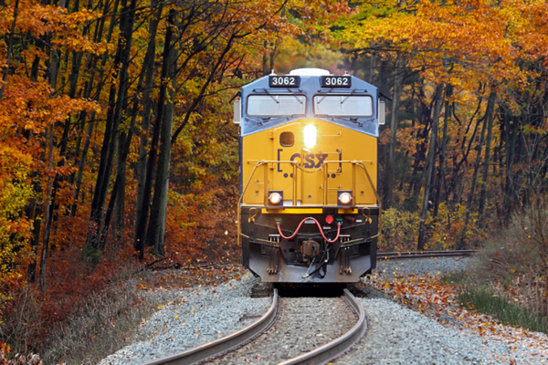 train on train tracks in a forest area