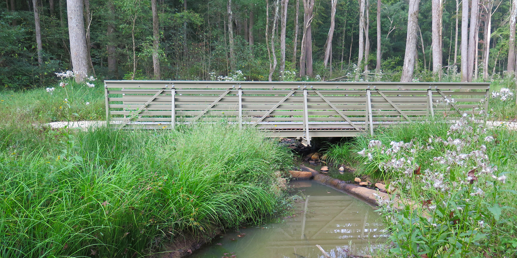 pedestrian bridge over a creek