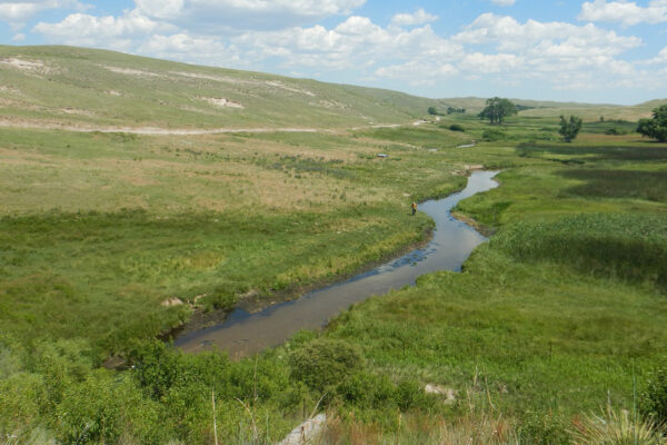 Minatare Wetland Delineation