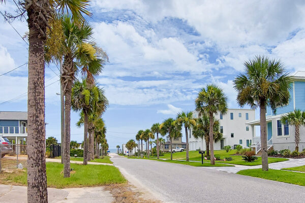 A photo of palm trees alongside a street and colorful houses on either side