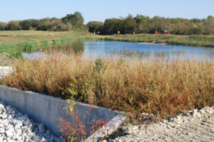 Photo of environmental enhancements over Stearns Road