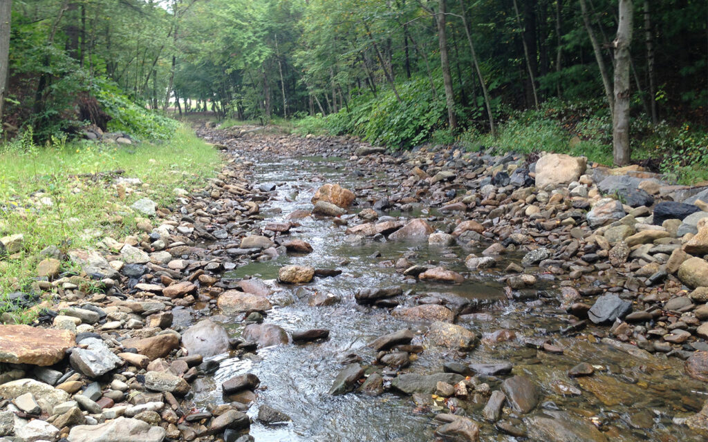 Photo of the realigned West Branch of the Schuylkill River.