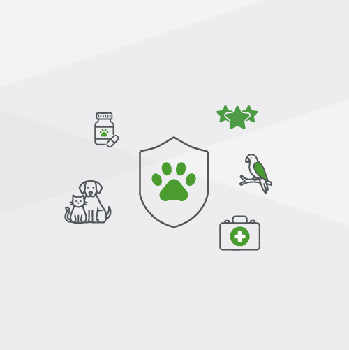Pet Insurance Icon